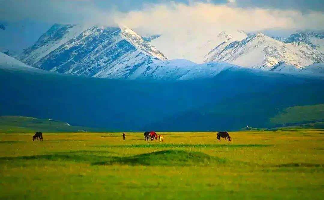 东风雪铁龙天逸家族将在独库公路上演"冰尖上的舞蹈"盛宴