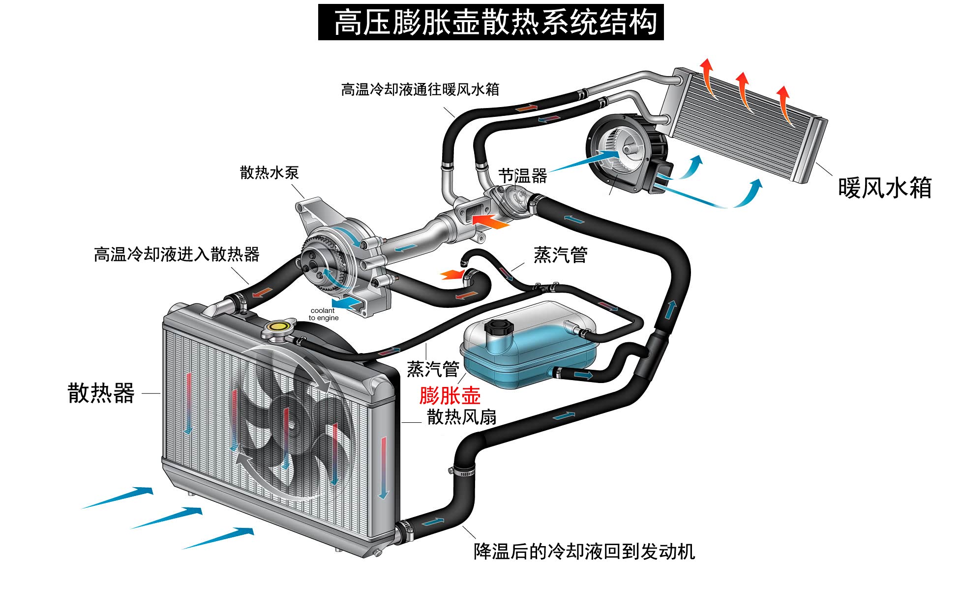 冷却液少了不能直接加：先看副水箱结构，再做决定_车家号_发现车生活_汽车之家