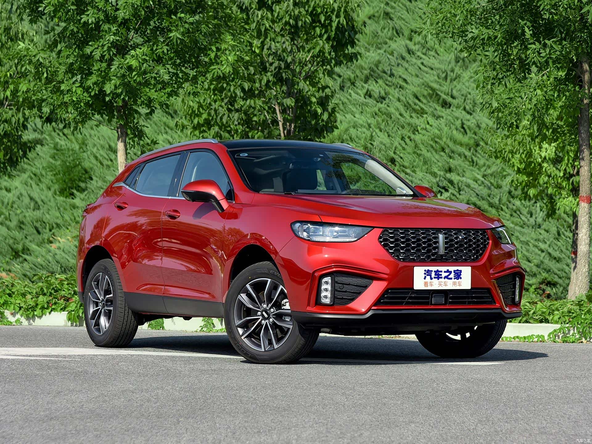 2019年上市的国产高端品牌suv盘点