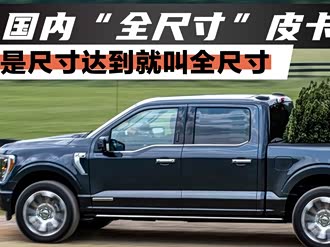 【中兴1949 2022款】中兴_中兴1949 2022款报价_图片