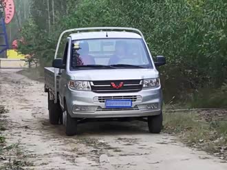 【五菱之光小卡 2020款】五菱汽车_五菱之光小卡 2020