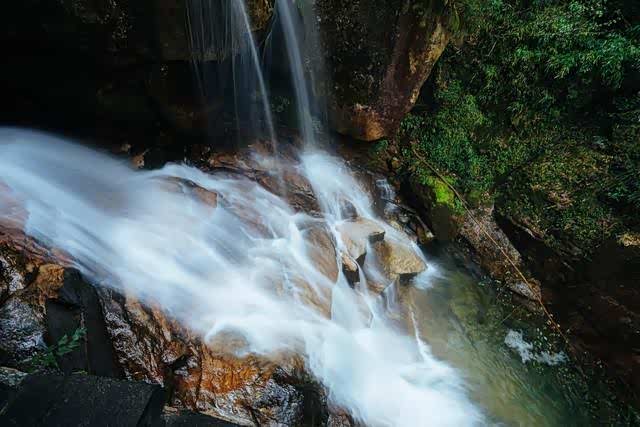 莽山猴王寨,满眼的密林,感觉人在飘!
