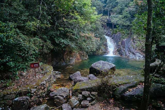 莽山猴王寨,满眼的密林,感觉人在飘!