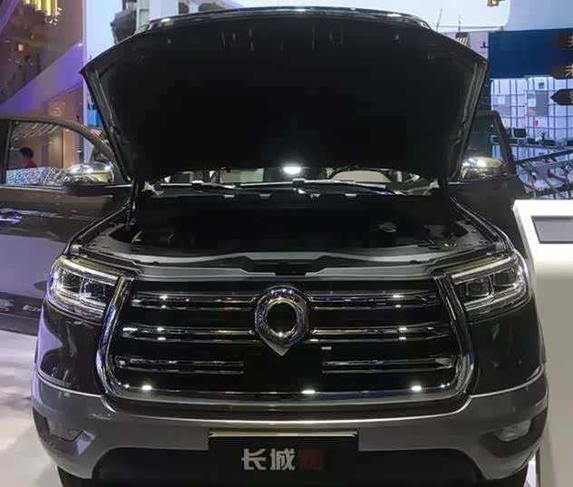 所以率先推出了炮系列的乘用版,后面还会推出商务版以及运动版的炮,来