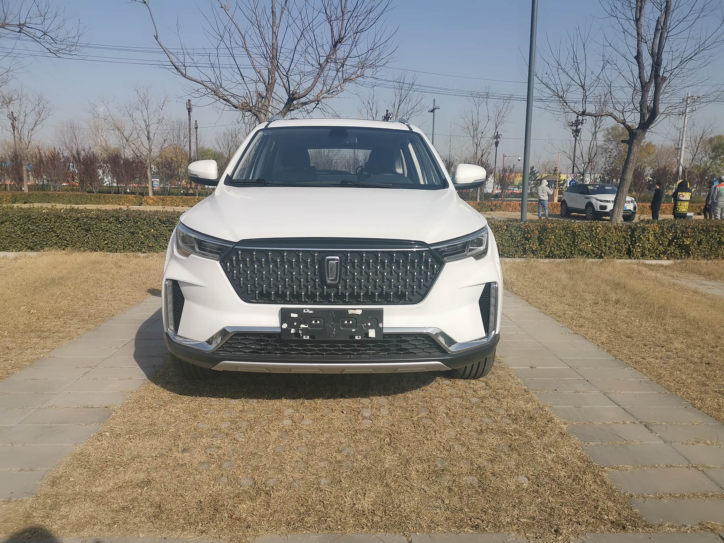 一汽奔腾2019年上市的新标车型