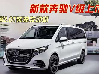 【奔驰v级(进口) 2020款】奔驰_奔驰v级(进口) 2020款报价_图片_汽车