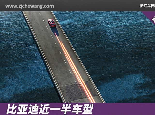 南方之子