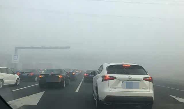 雾天跟车行驶安全指南：详解不同路况及交通情况下的驾驶技巧_车家号_发现车生活_汽车之家