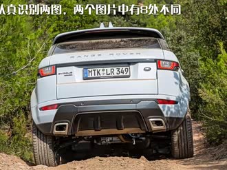 【揽胜极光(进口) 2020款】路虎_揽胜极光(进口) 2020款报价_图片