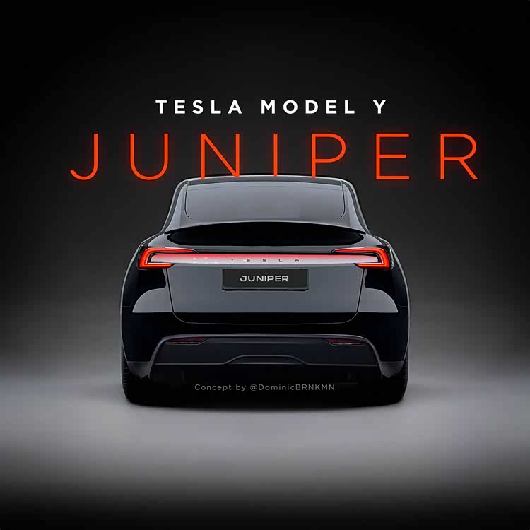 model y 
