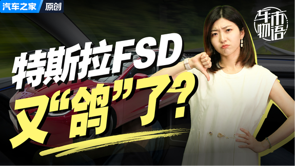 特斯拉又“鸽”了，中国被移出FSD名单，6.4万买了寂寞？