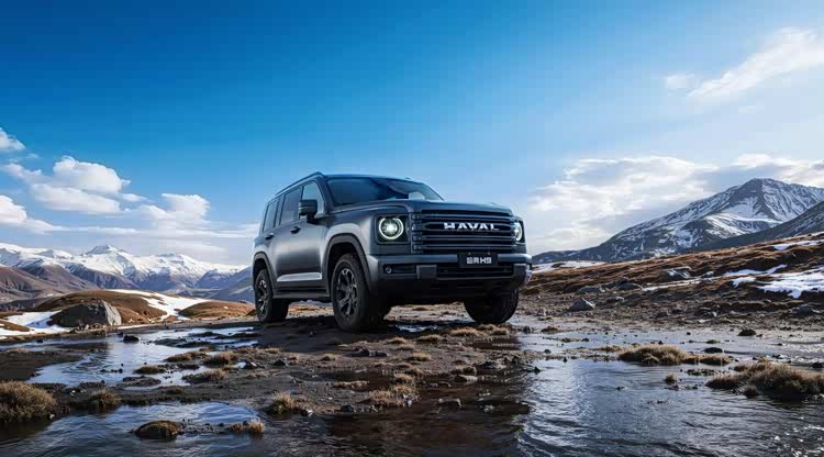 原厂长穿标杆降临，二代哈弗H9穿越版23.29万起售