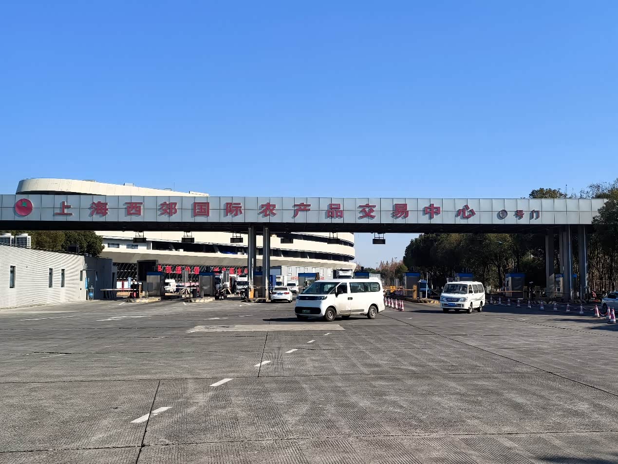 轮胎升级与水果自由带来的双重惊喜_车家号_汽车之家