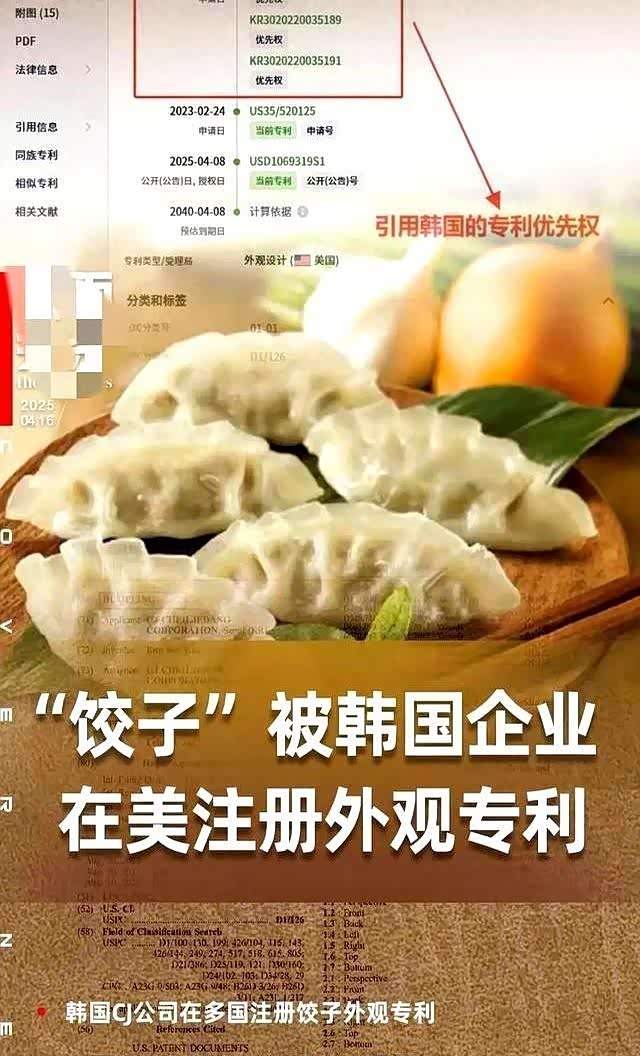 韩国公司注册饺子外观专利有哪些