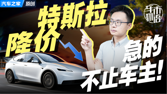 特斯拉大降价，急的不止车主！