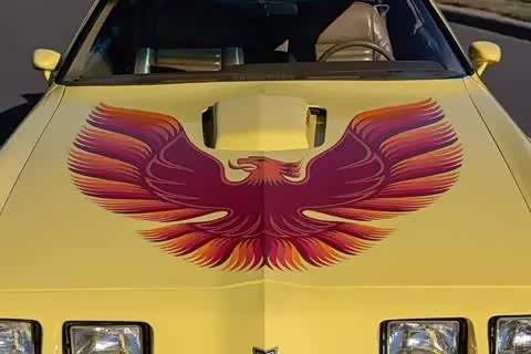 石油禁运难灭V8信仰,1979年火鸟21万销量成神话_车家号_发现车生活_汽车之家