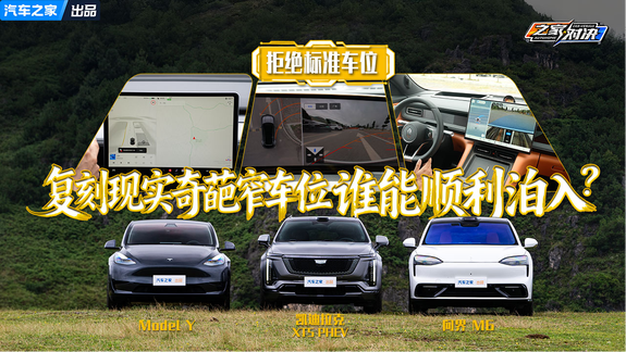 拒绝标准车位！复刻现实奇葩窄车位 谁能顺利泊入？