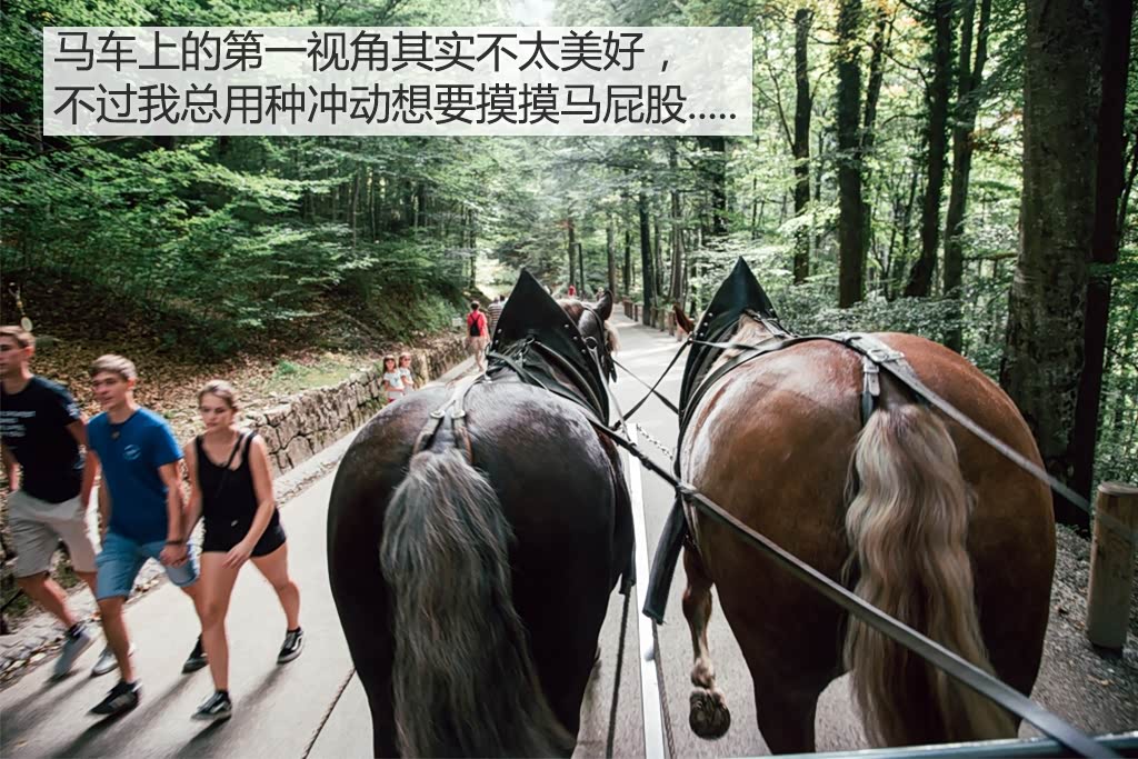 ����֮��