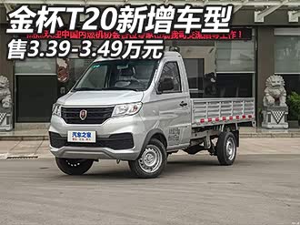 【金杯t20】金杯_金杯t20报价_金杯t20图片_汽车之家