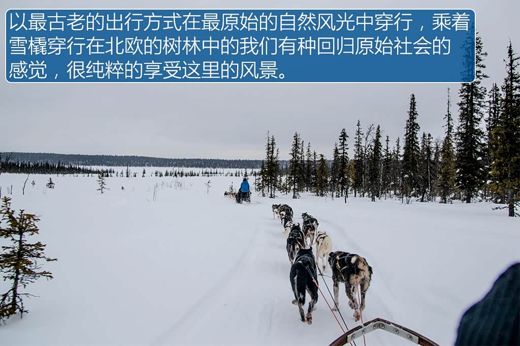 ����֮��