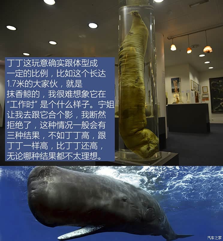 邂逅绚丽北极光 冰岛冬季自驾游(2)