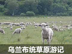 ����༭����ȾƳ��� ������ͳ��ԭ��