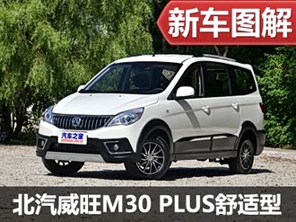 【北汽威旺m30 2017款】北汽威旺_北汽威旺m30 2017款报价_图片_汽车