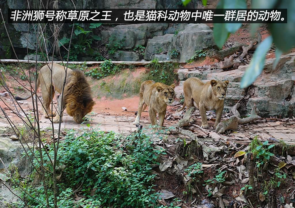 ����֮��