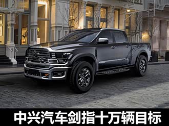 【中兴cross van】中兴_中兴cross van报价_中兴cross van图片_汽车之