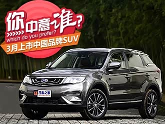 50%本地经销商 >小型suv成功获取查最