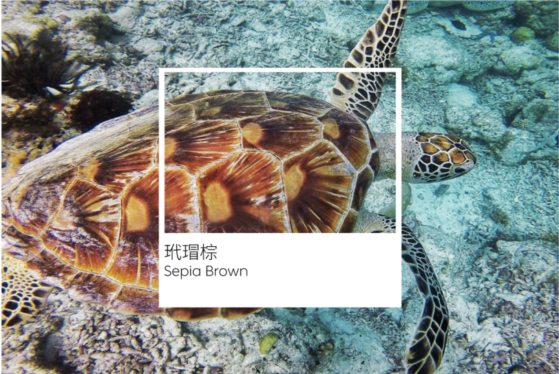 ����֮��