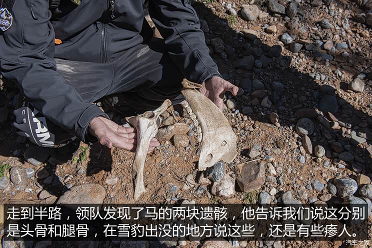 硬核澜沧江科考之旅 无人区雪豹寻踪