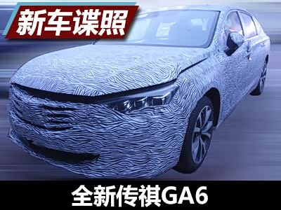 【图】风餐露宿也很开心 2男1狗1车的故事