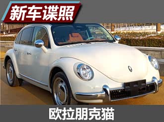 【欧拉朋克猫 2022款】欧拉_欧拉朋克猫 2022款报价_图片_汽车之家