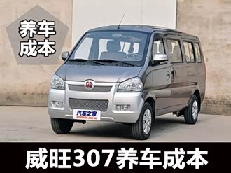 【北汽威旺307】北汽威旺_北汽威旺307报价_北汽威旺307图片_汽车之家
