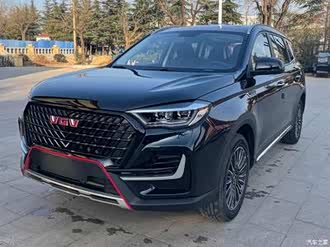 【vgv u75】中国重汽vgv_vgv u75报价_vgv u75图片_汽车之家