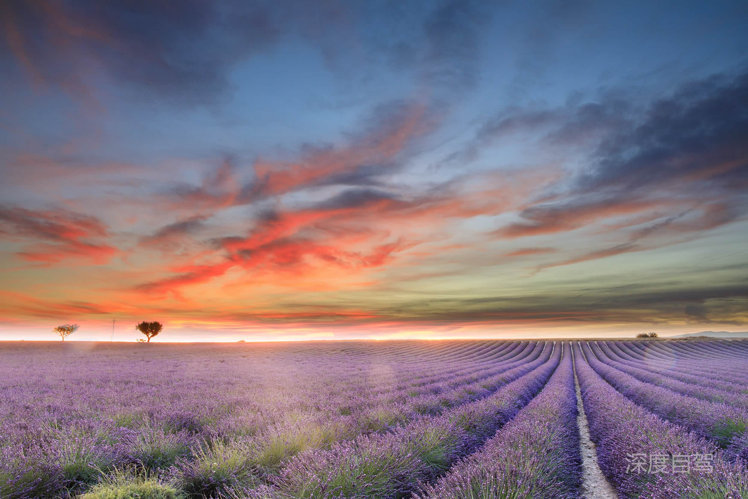 [深度自驾] 途锐欧洲行之普罗旺斯最美花田/蔚蓝海岸的性感阳光