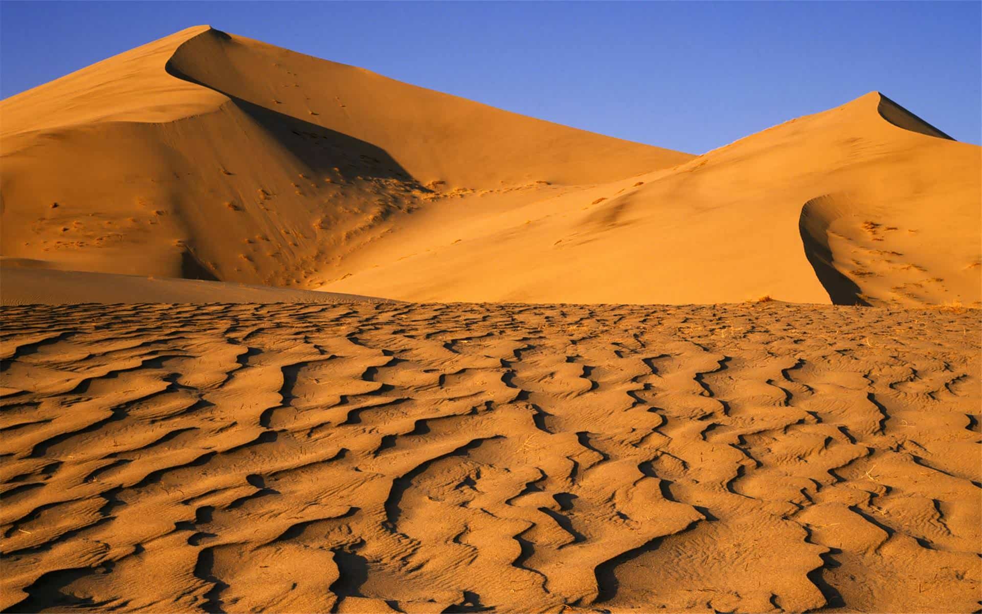 这条全球最长无人沙漠高速公路,北京现代和吉利都争相来挑战!