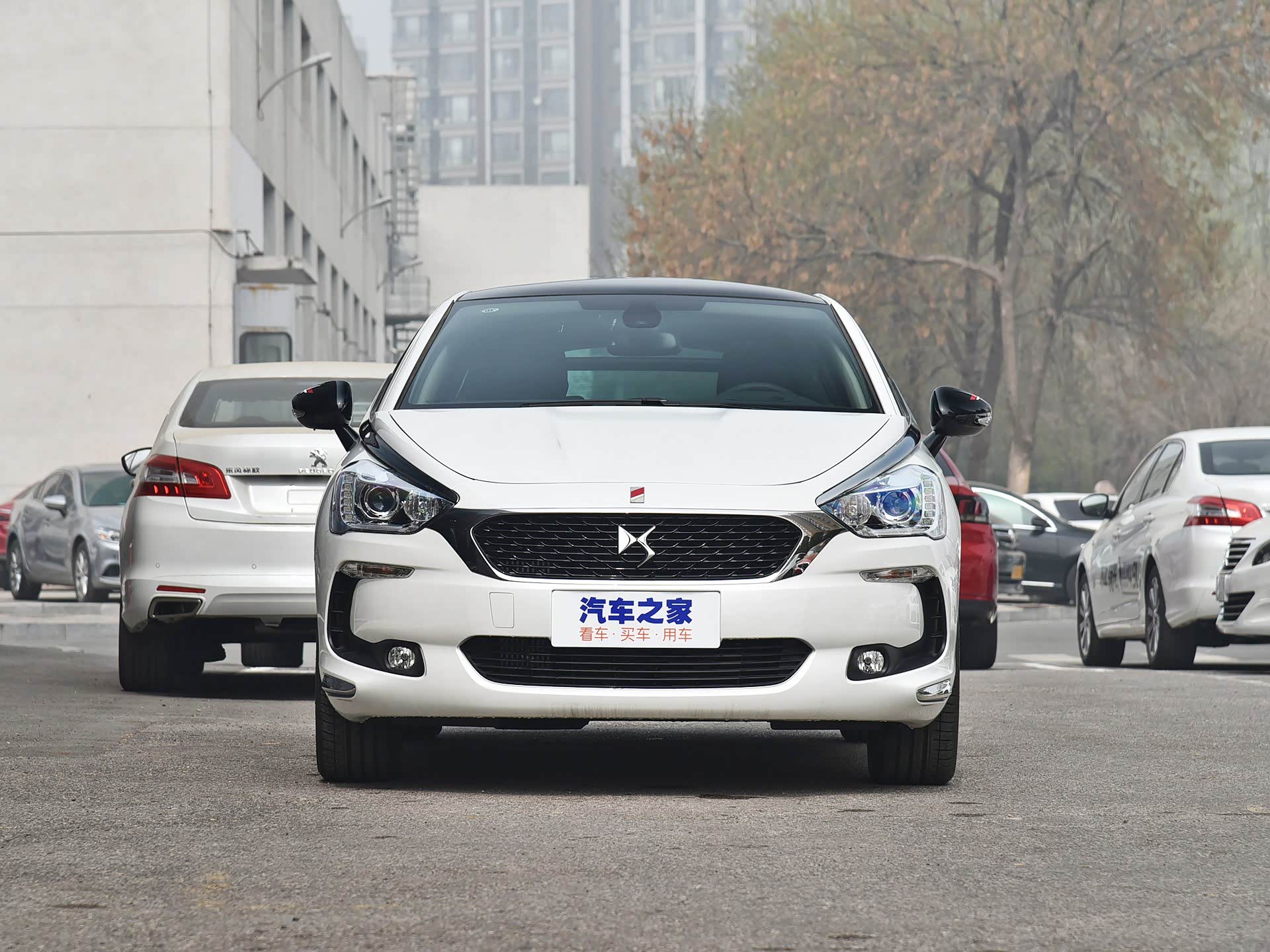 车家号_发现车生活_汽车之家