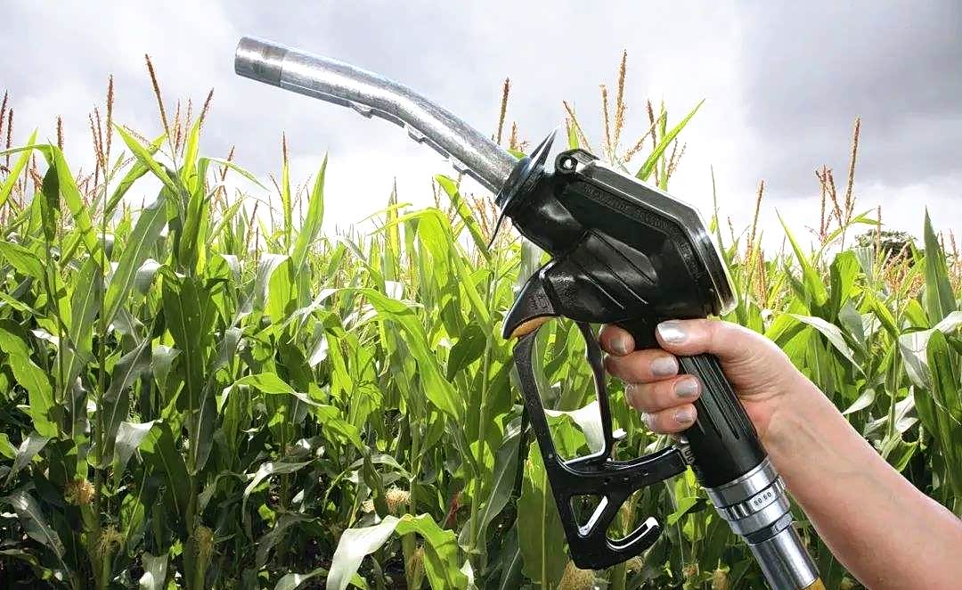 92号汽油替代品来了?新型燃油更环保,车主们买账么?