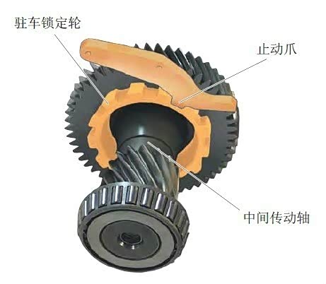 驻车锁一端由换档杆通过换档杆拉线,换档轴和一根带锥体和压簧的拉杆