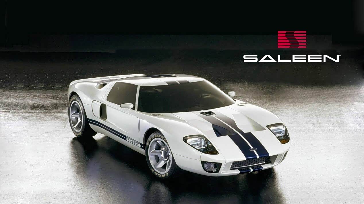 专注极致技术与顾镭博士聊加盟赛麟汽车