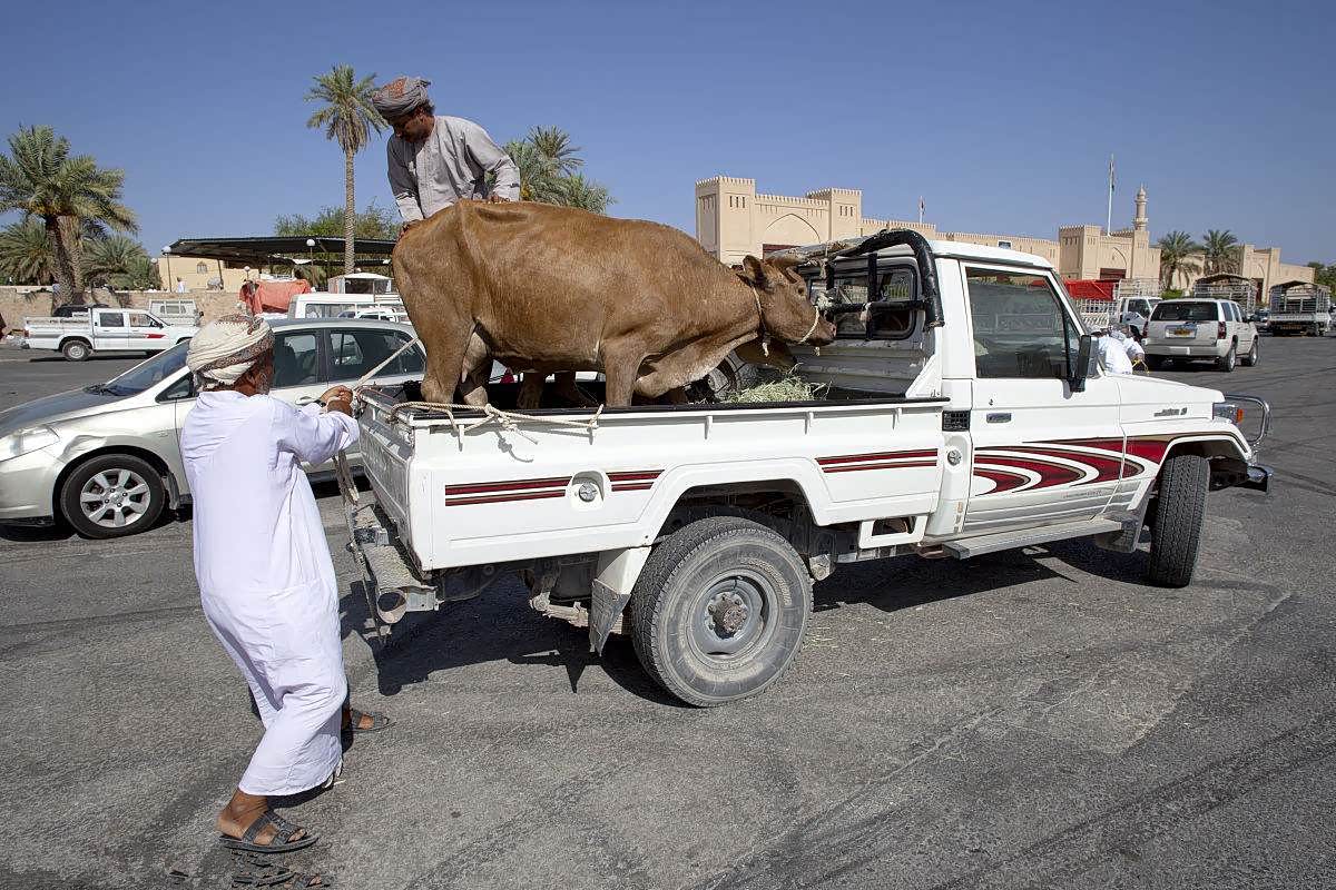 你是真的皮!长城引领中国皮卡奇迹_车家号_发现车生活_汽车之家