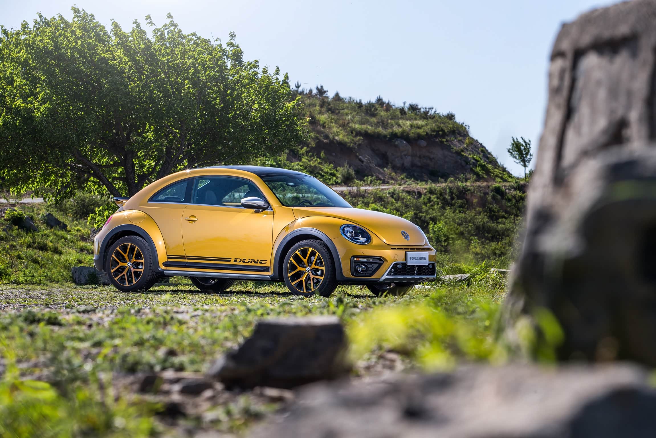 倾心而动魄大众进口汽车甲壳虫的520告白指南