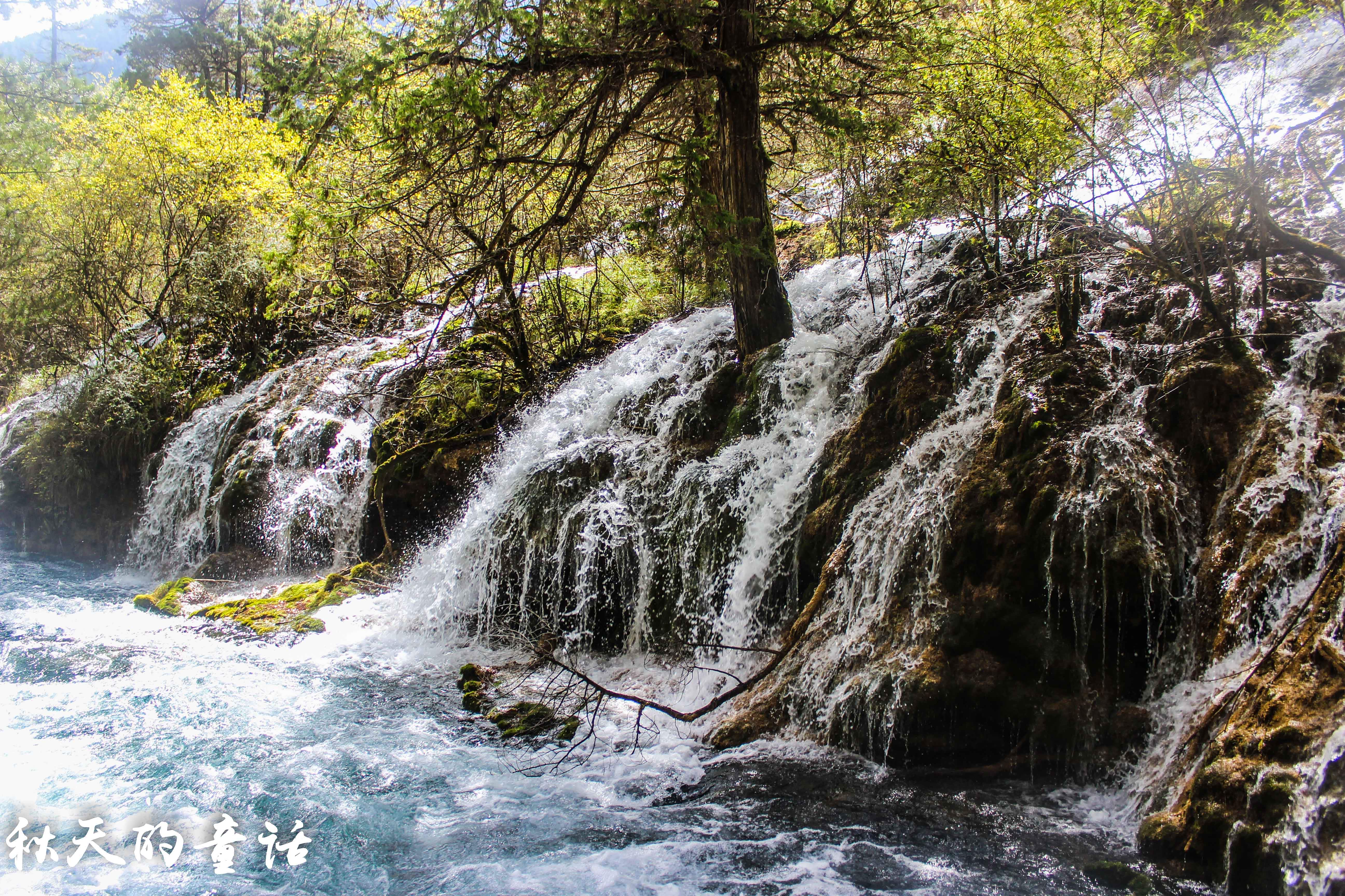 九寨沟景区—珍珠滩瀑布
