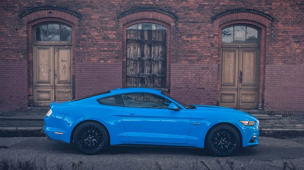 迈阿密蓝福特mustang这匹马真心好看