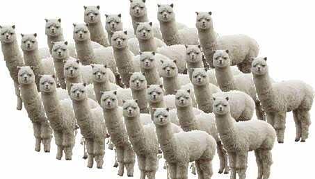 如果你不是车商,就不要指望以车商收购价去买车.我对这句话负责