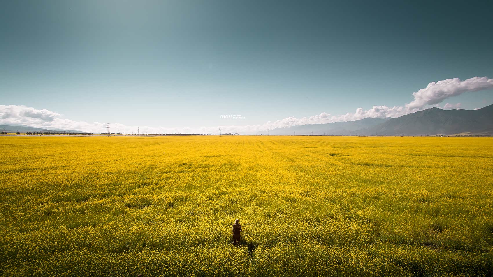 0% buffered00:00 播放 00:00/00:15 超清 1080p 超清 高清 标清 全屏