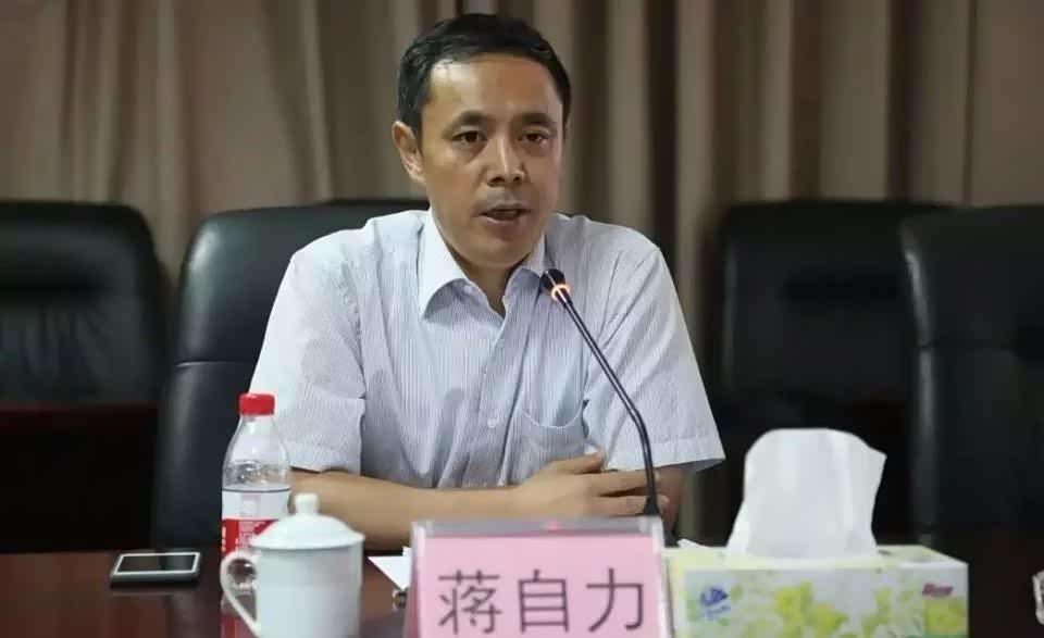 北汽集团副总经理蒋自力