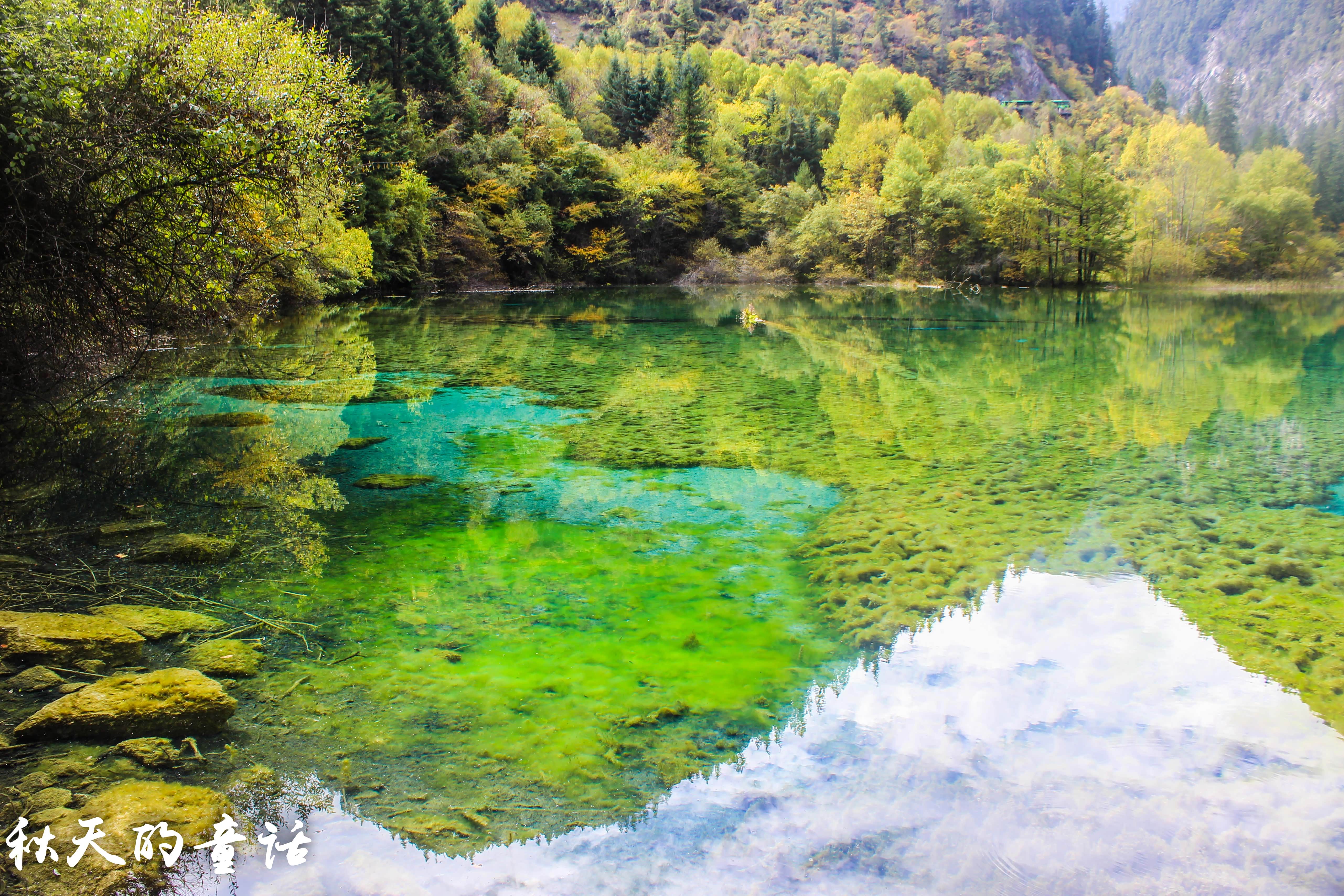 九寨沟景区—五花海